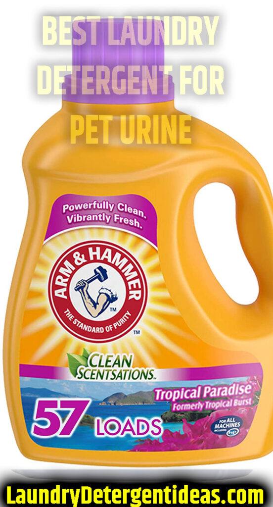 Best Laundry Detergent for Dog Urine 2023