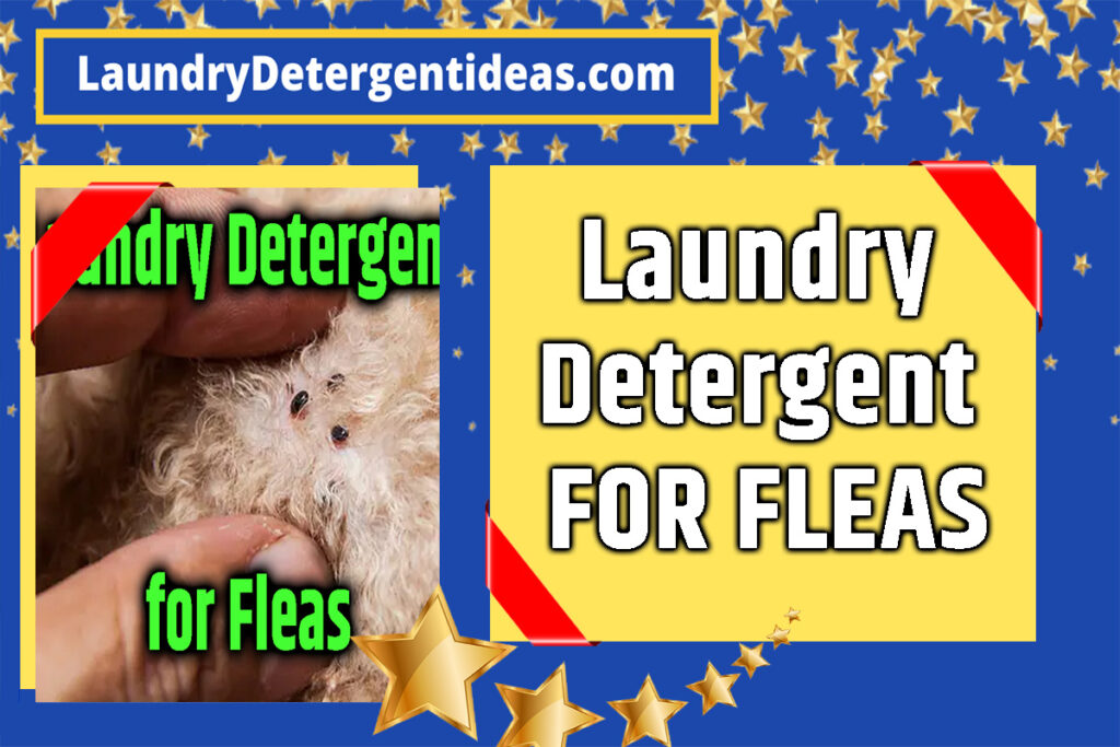 laundry detergent for fleas