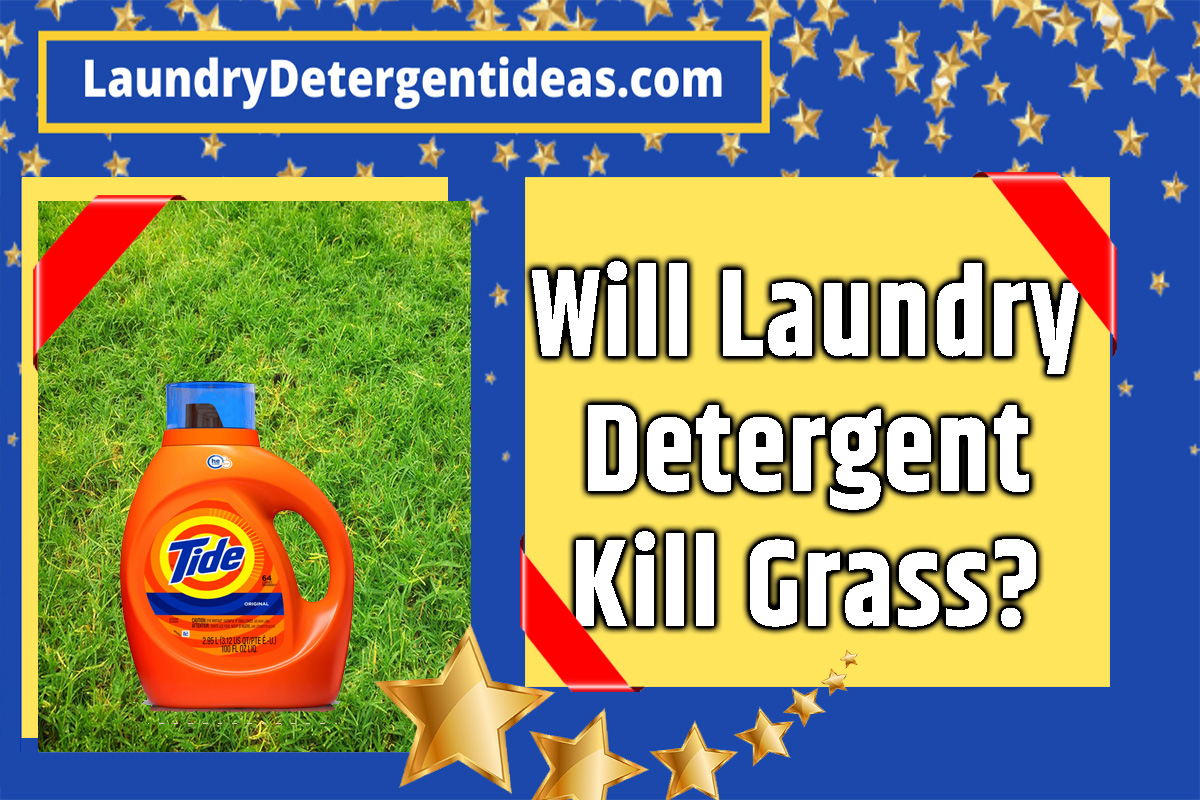 Will laundry detergent kill grass