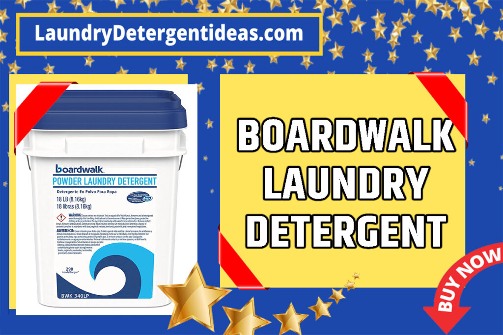 Best Powder Laundry Detergent 2022