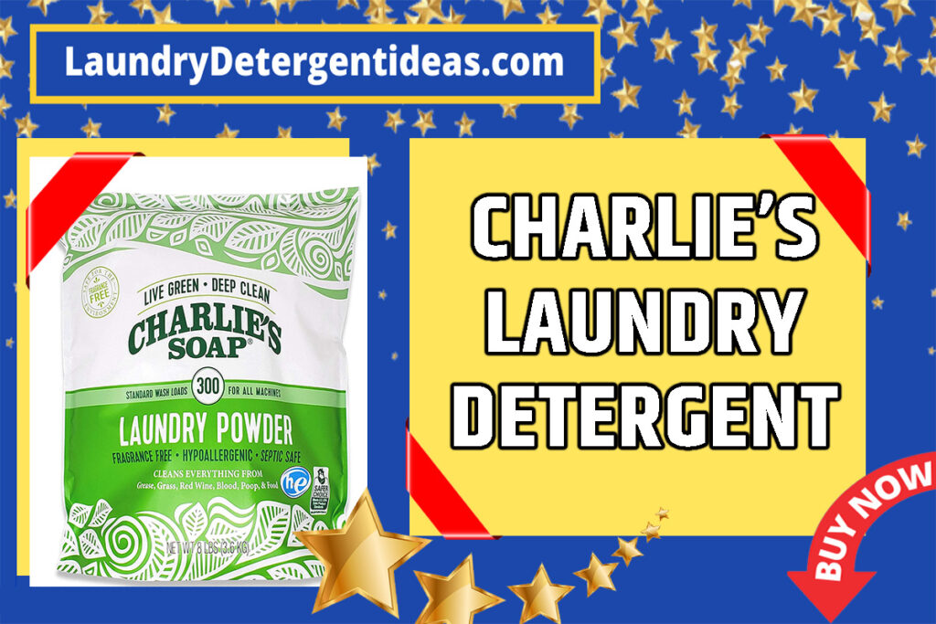 charl's soap laundry detergent