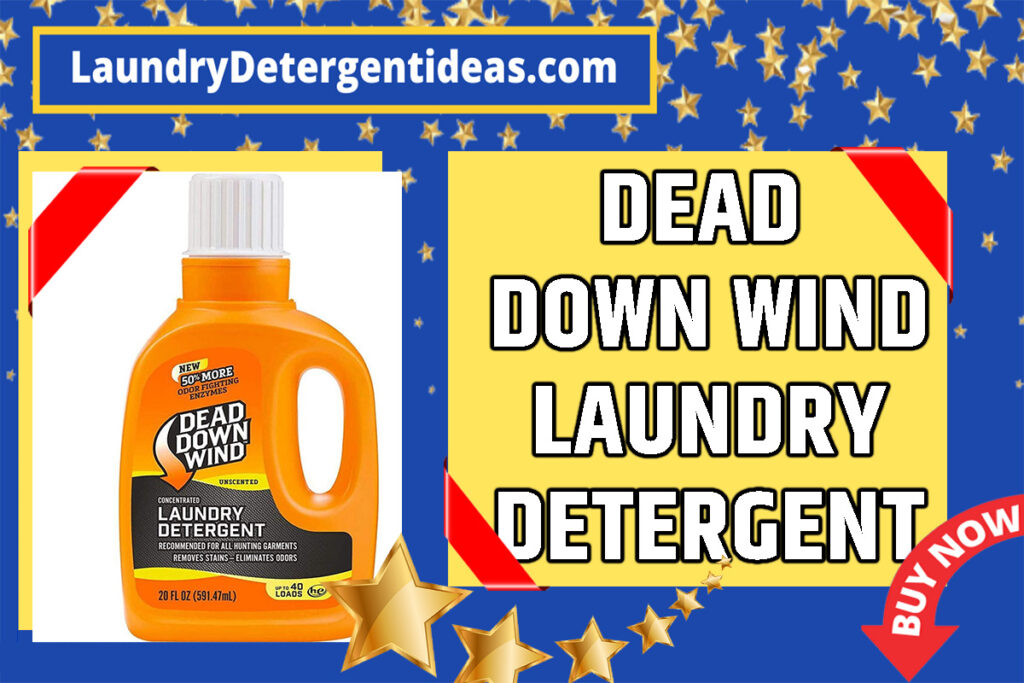 Best Unscented Laundry Detergent in 2023