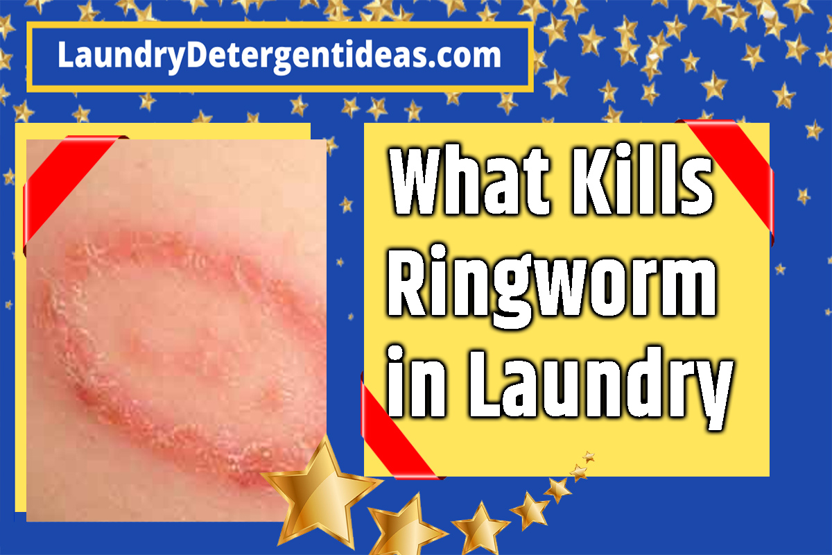 what-kills-ringworm-in-laundry