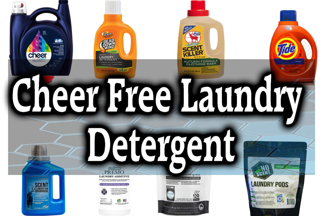 cheer free laundry detergent