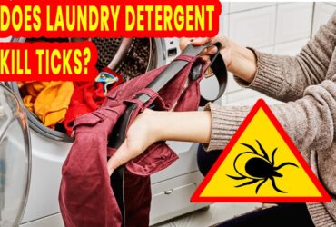 Does Laundry Detergent Kill Ticks