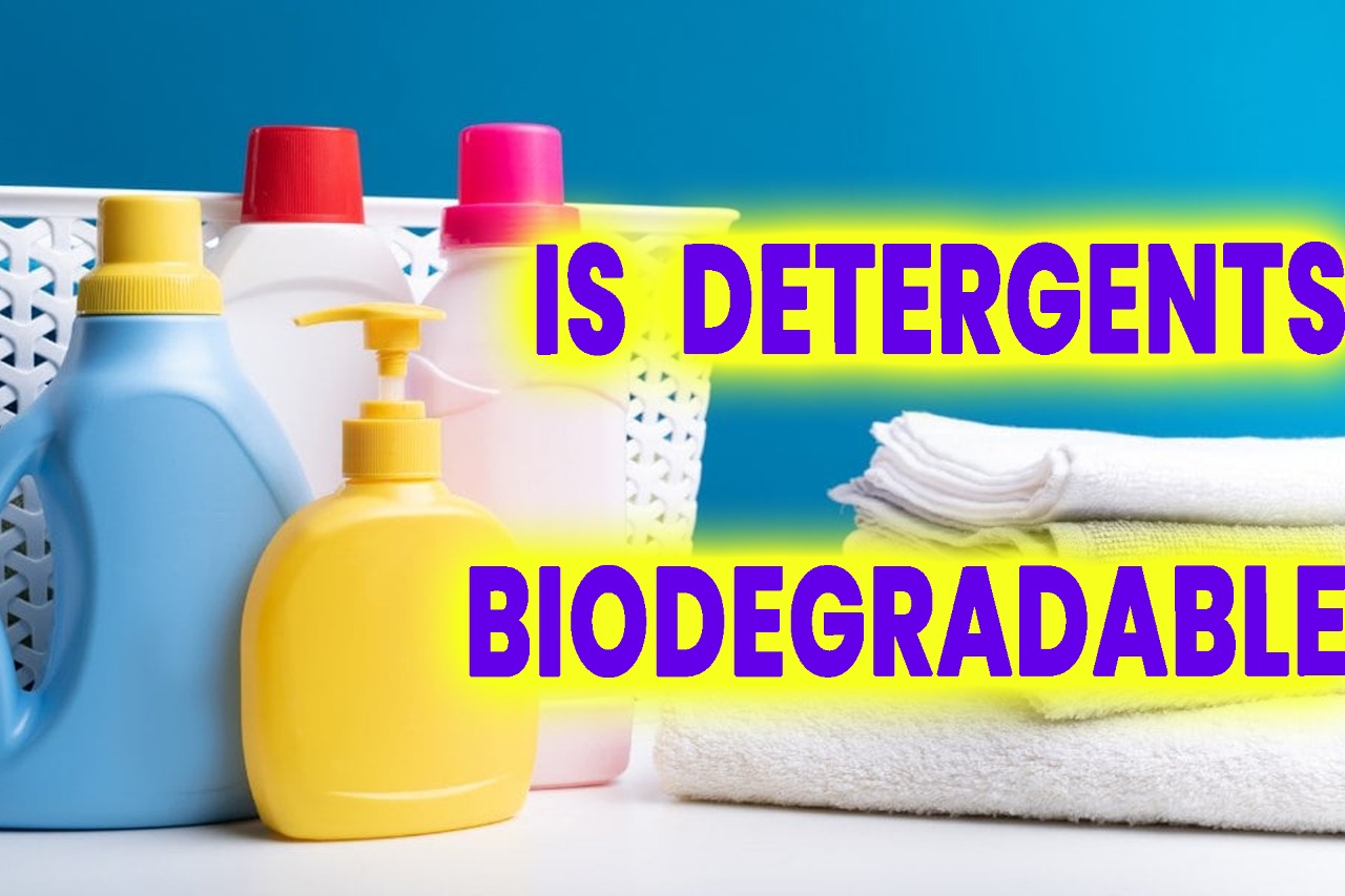 Is Detergents Biodegradable
