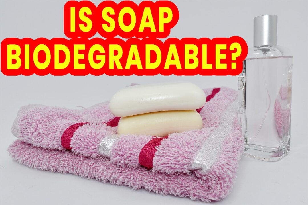 Is Soap Biodegradable