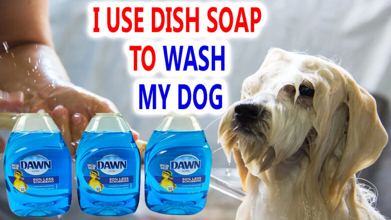 can-i-use-dish-soap-to-wash-my-dog