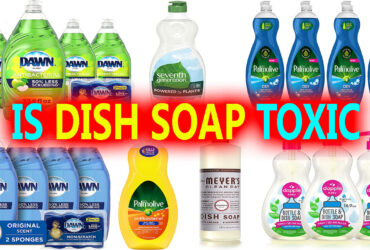 is dish soap toxic