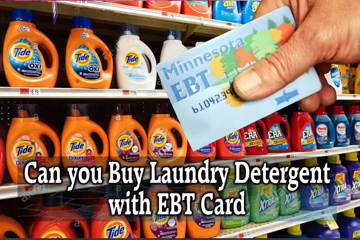 can you buy laundry detergent with ebt card