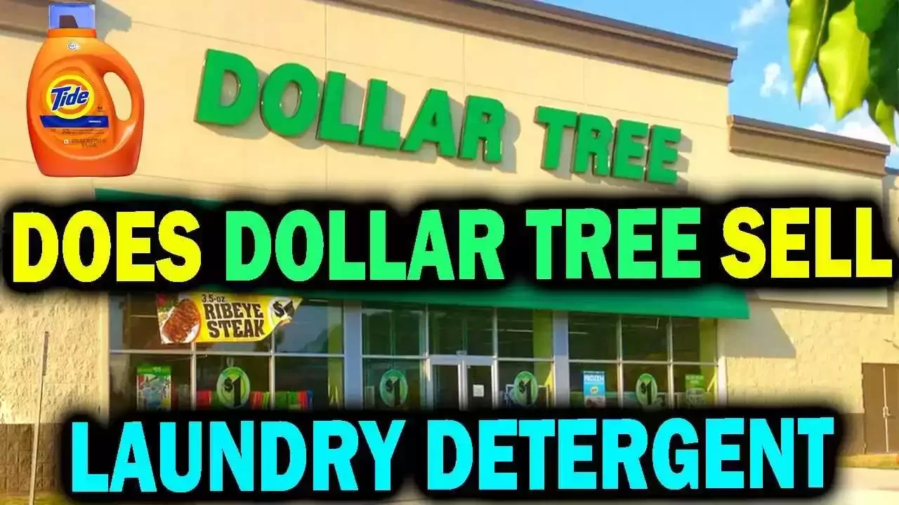 does dollar tree sell laundry detergent