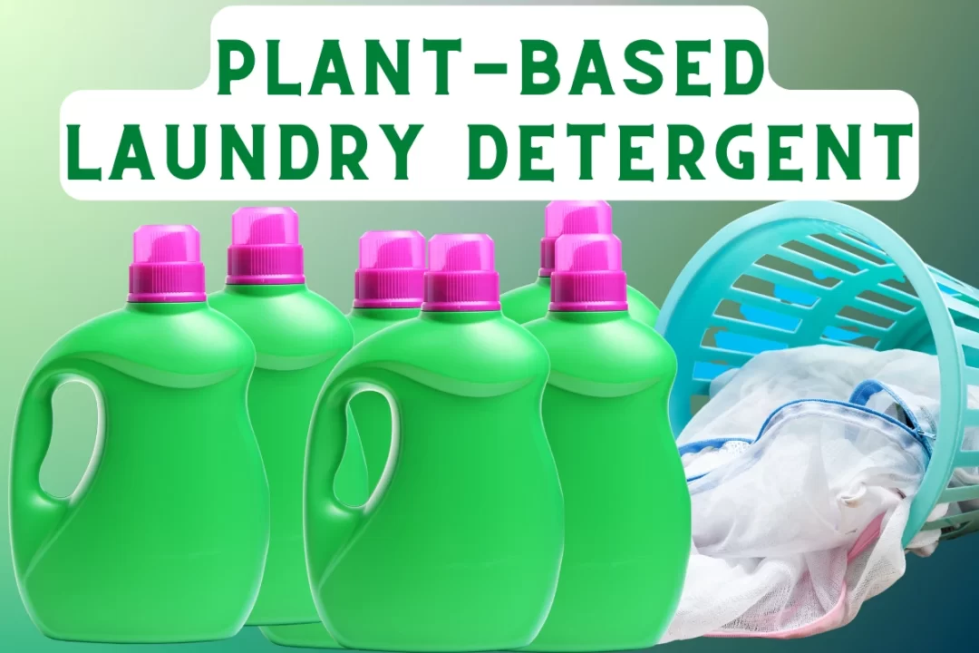 plant based laundry detergent