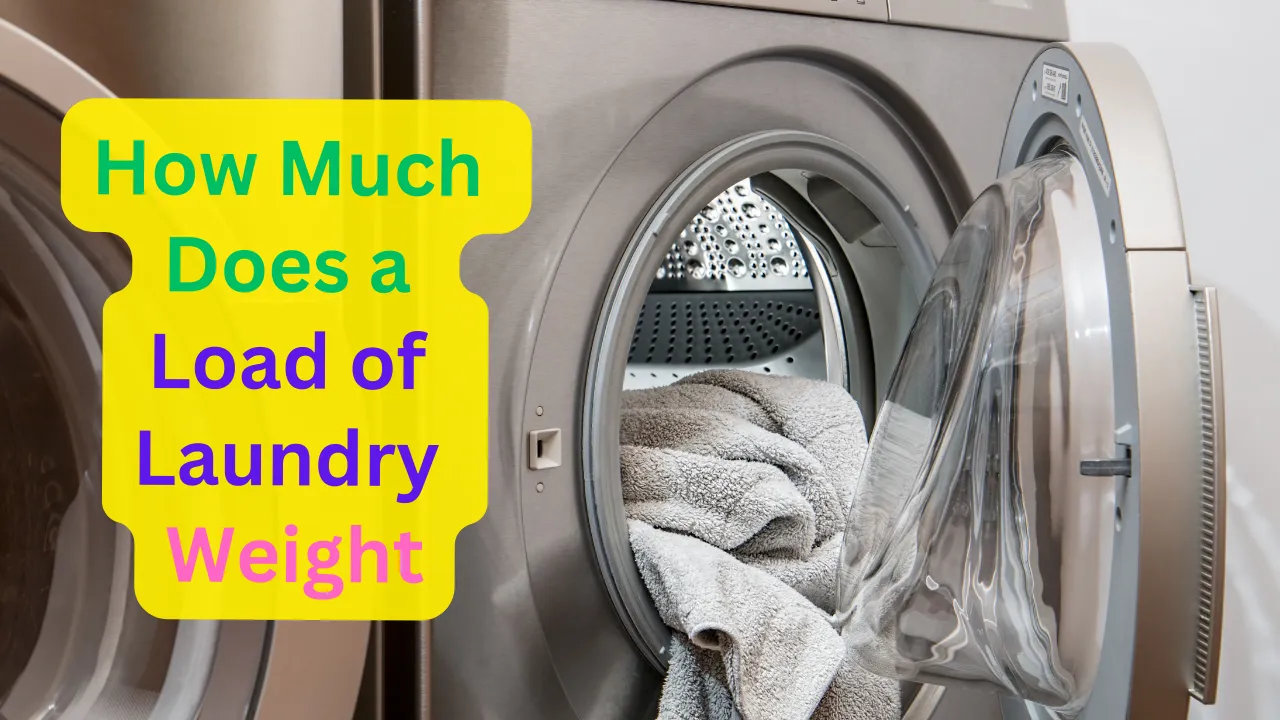 how much does a load of laundry weight